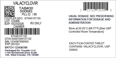 Label (31722 704 90 Valacyclovir 500mg 67046 1071 30)